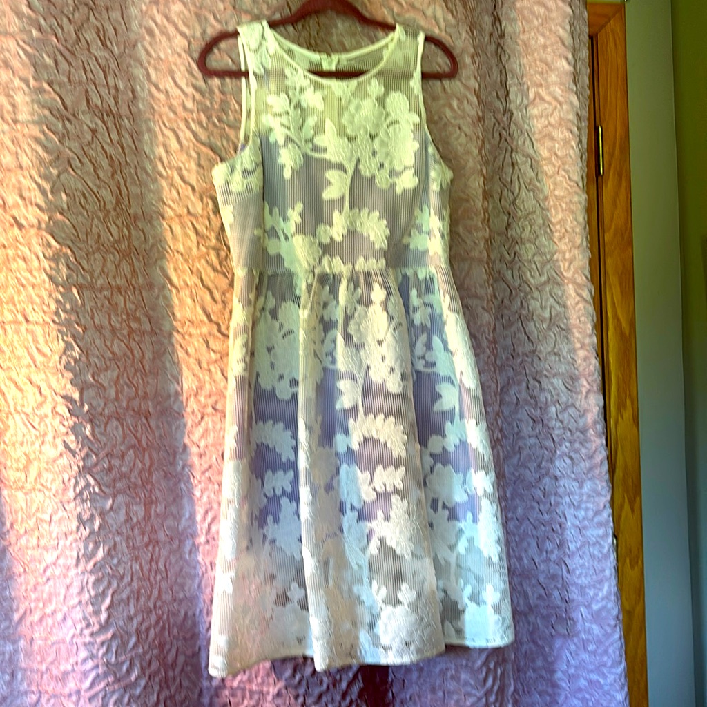 Nwt Badgley Mischka Stunning White Lace Over Lavender Dress